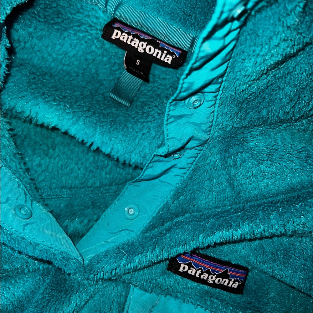 Patagonia! - Picture 7 of 7